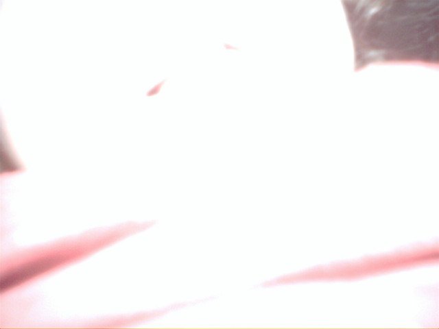 IMG 00011 (12)